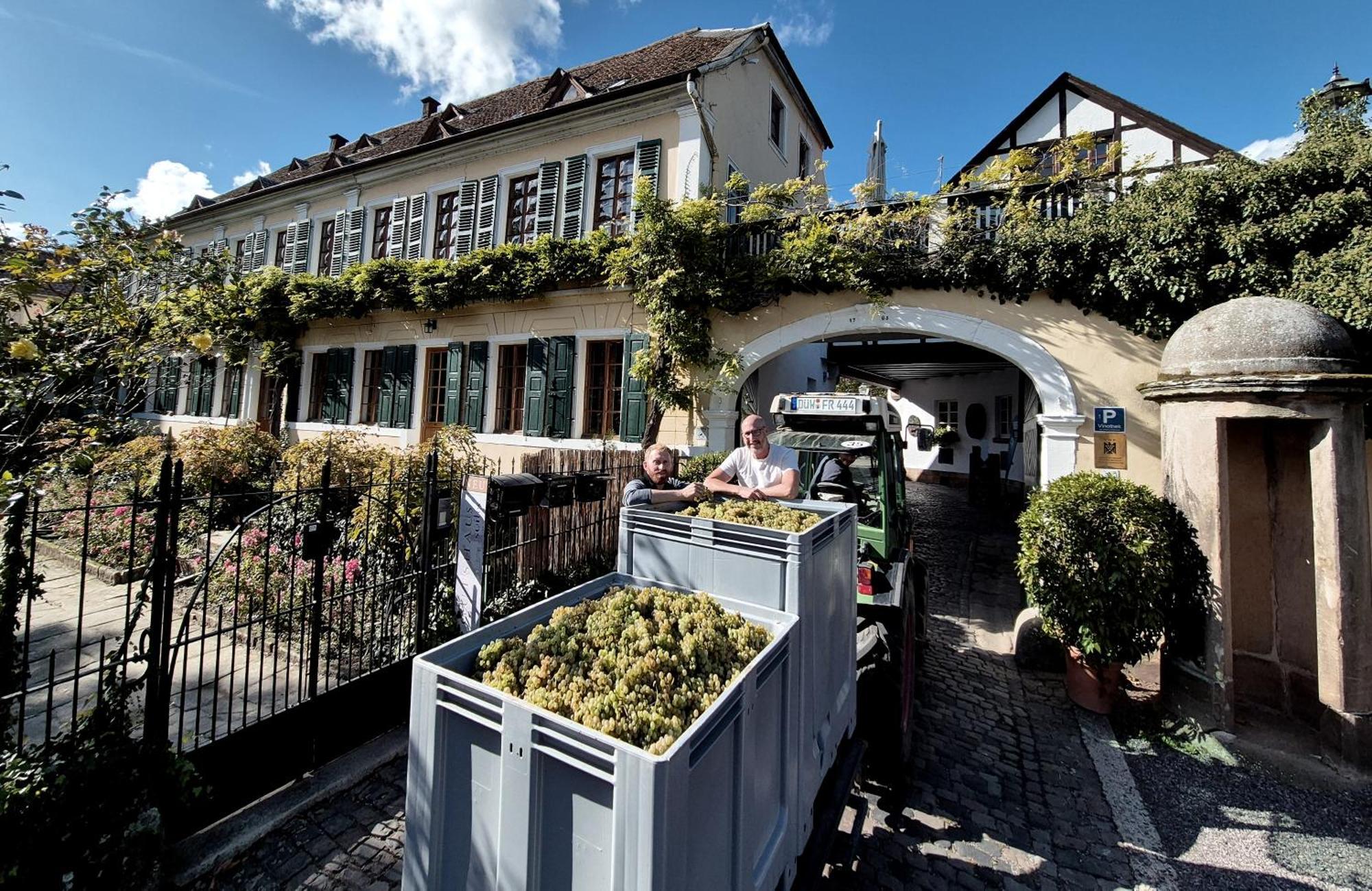 Unterkunft Im Weingut Fitz-Ritter Bad Dürkheim Exteriér fotografie